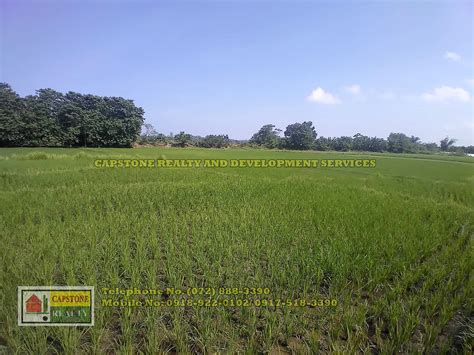 philippines land for sale|Agricultural Lot For Sale in the Philippines .